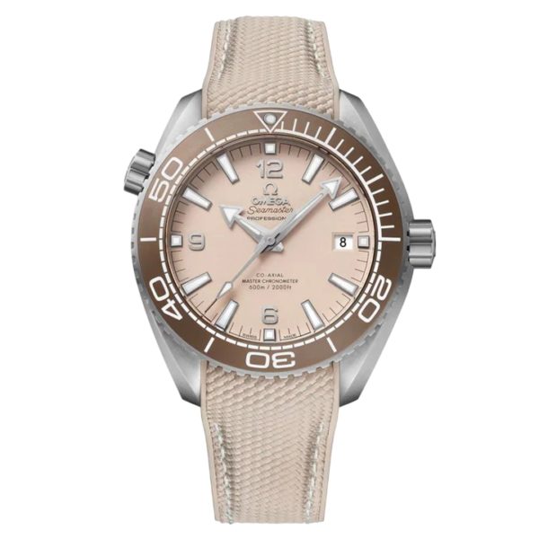 Omega Seamaster Planet Ocean 600M Art 8973